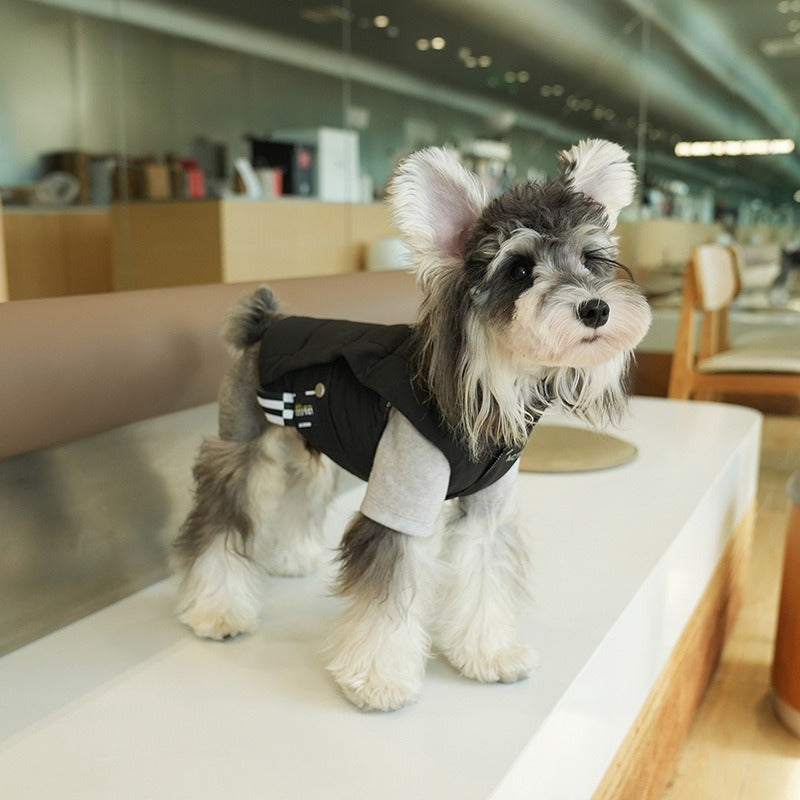 pet Vest Fall Winter Hot Selling Warm Fashion Versatile Small to Medium Dogs Teddy Bichon dog Outdoor