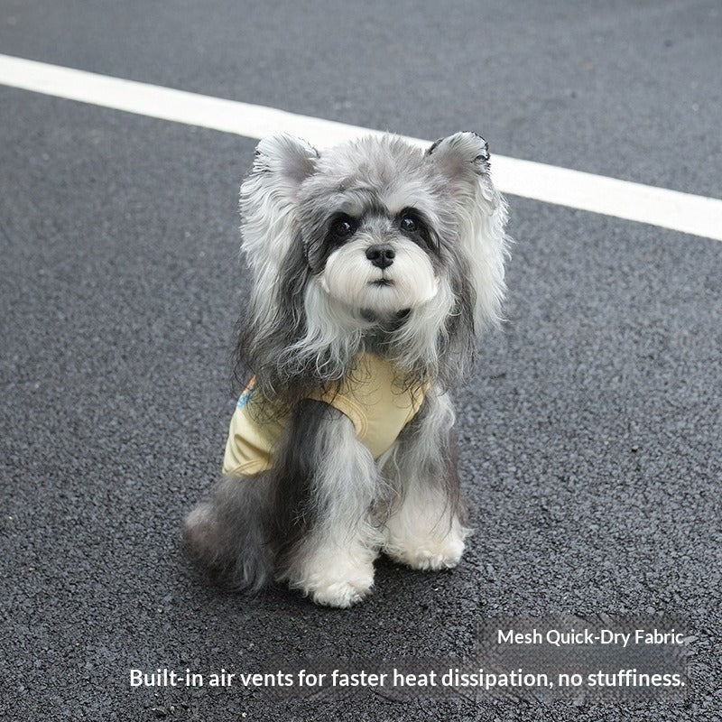 Factory Wholesale Fun Spring Summer New pet Clothes dog Cool Touch Vest