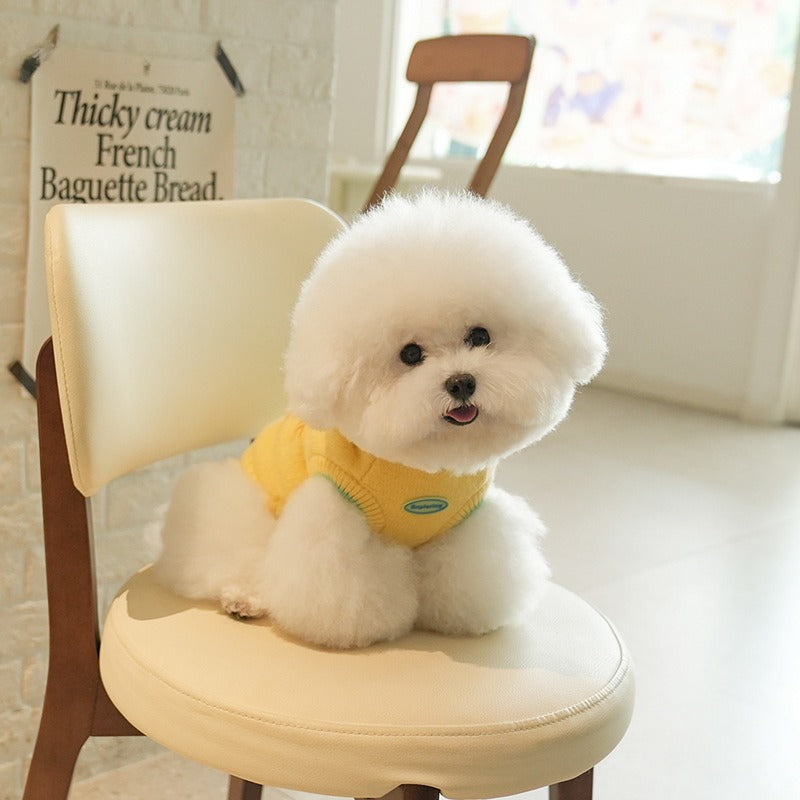 pet Fall Winter Two Leg Sleeveless Sweater dog Clothes Cute Color Block Warm