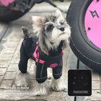 Outdoor pet Spring Summer dog Stain Resistant Outdoor Harness Leash Walking