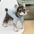 Inspet Clothes Spring Summer Lightweight Breathable Teddy Bichon Schnauzer dog Clothes dog Clothes