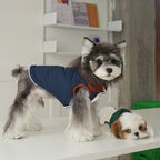 pet Fall Winter Solid Color Cotton Jacket Color Block Lapel Leash-friendly dog Versatile dog Clothes Wholesale