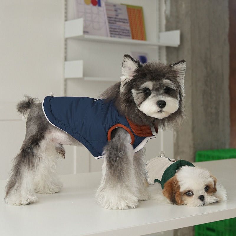 pet Fall Winter Solid Color Cotton Jacket Color Block Lapel Leash-friendly dog Versatile dog Clothes Wholesale