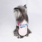 pet Vest Spring Summer Lightweight Mesh Breathable Small to Medium Dogs Outdoor