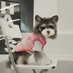 pet Fall Winter Vest Cotton Jacket Schnauzer Versatile dog Clothes Wholesale