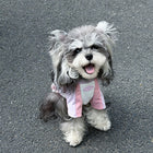 Spring & Summer Two-Leg Dog Sportswear – Lightweight Color-Block Apparel