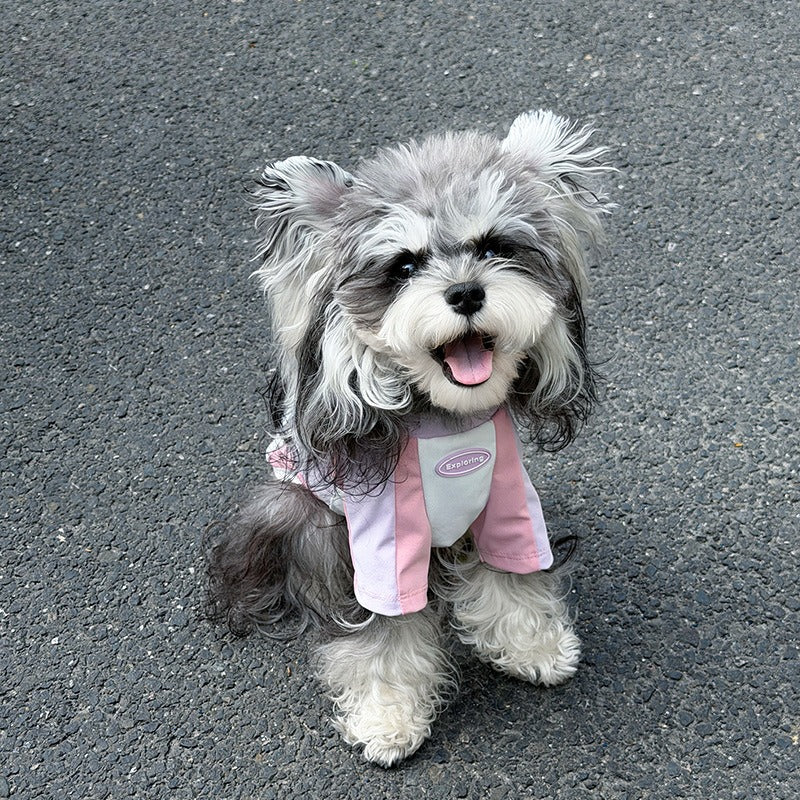 Spring Summer Maltese Teddy dog Clothes Two Leg Color Match Sportswear pet