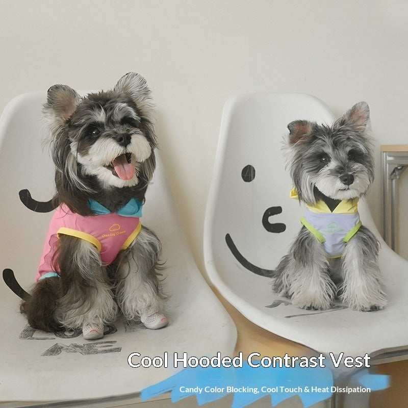 dog Spring Summer Cool Touch Vest Schnauzer pet Bichon Color Block Hooded Wholesale