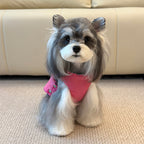 pet Fall Winter dog Maltese Small Dogs Color Block Cotton Jacket Vest Warm