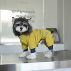 Waterproof Color-Block Dog Raincoat – Four-Leg Outdoor Jacket